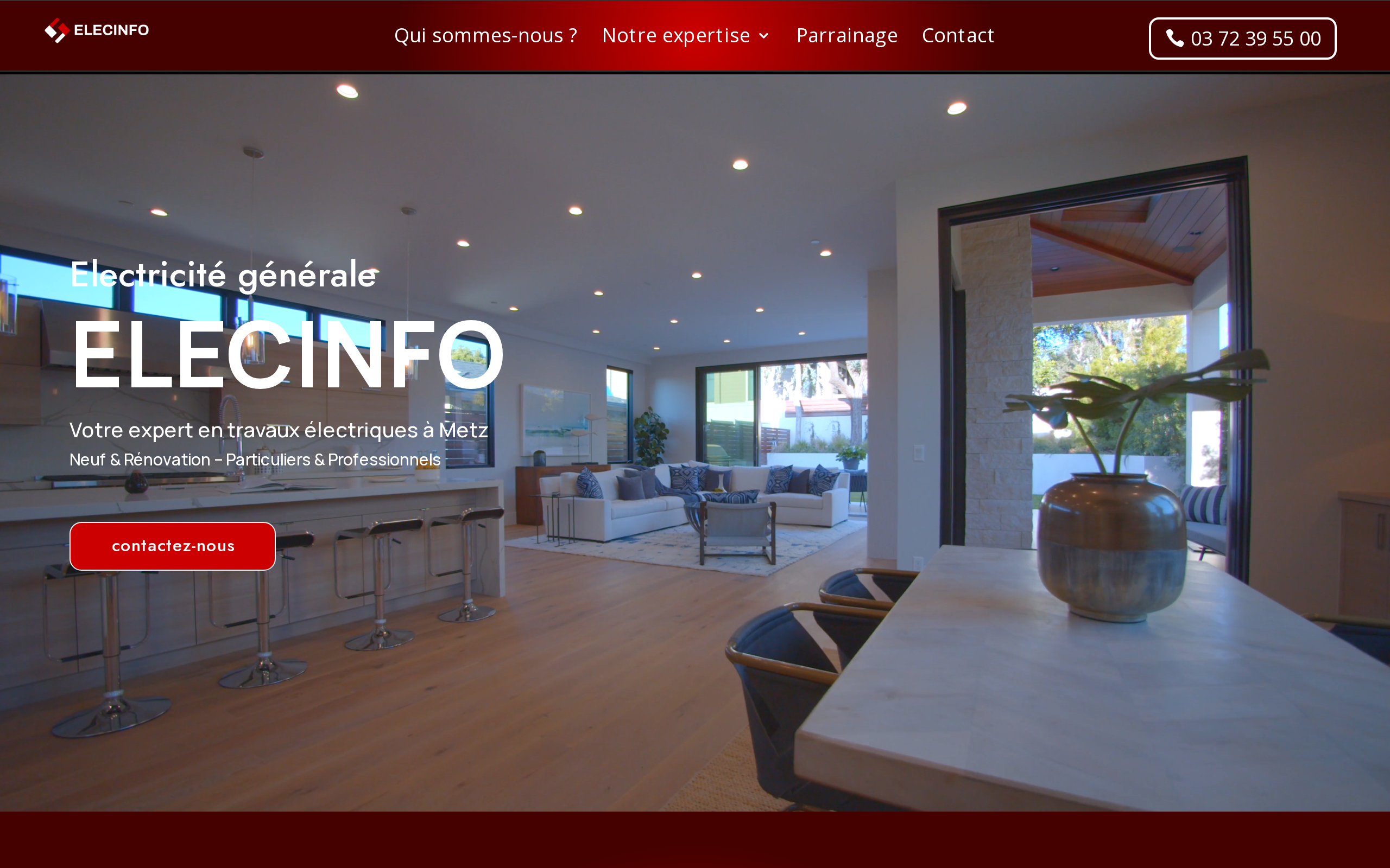 Aperçu du site ELECINFO